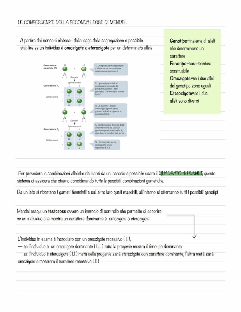 GREGOR MENDEL E LA GENETICA
La genetica è lo studio delle leggi e dei
meccanismi che permettono la trasmissione
dei caratteri da una generaz