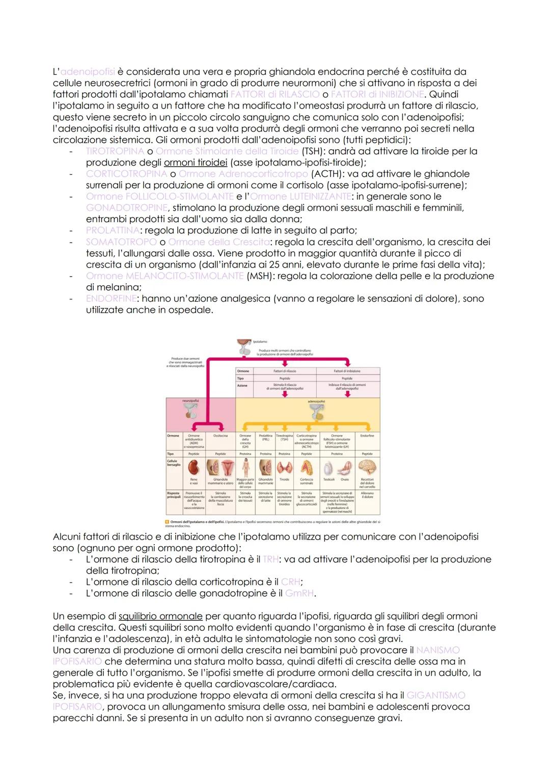 # Sistema Endocrino

Il sistema endocrino è costituito da una serie di organi che vengono chiamati GHIANDOLE che
collaborano con il sistema 