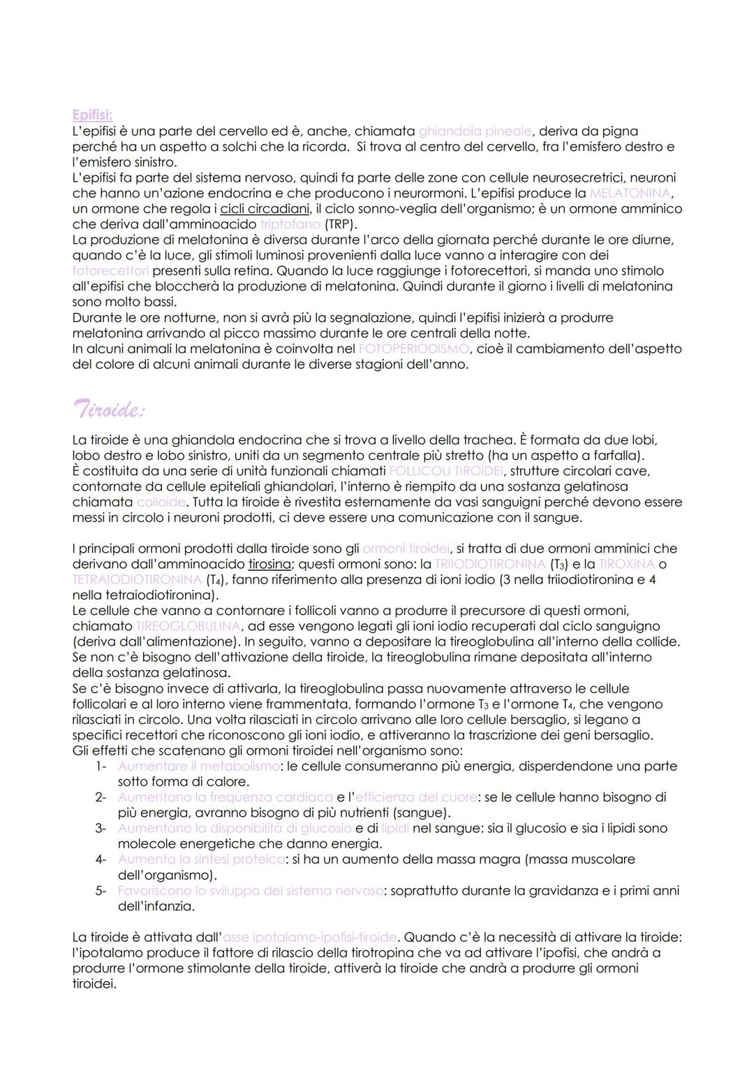 # Sistema Endocrino

Il sistema endocrino è costituito da una serie di organi che vengono chiamati GHIANDOLE che
collaborano con il sistema 