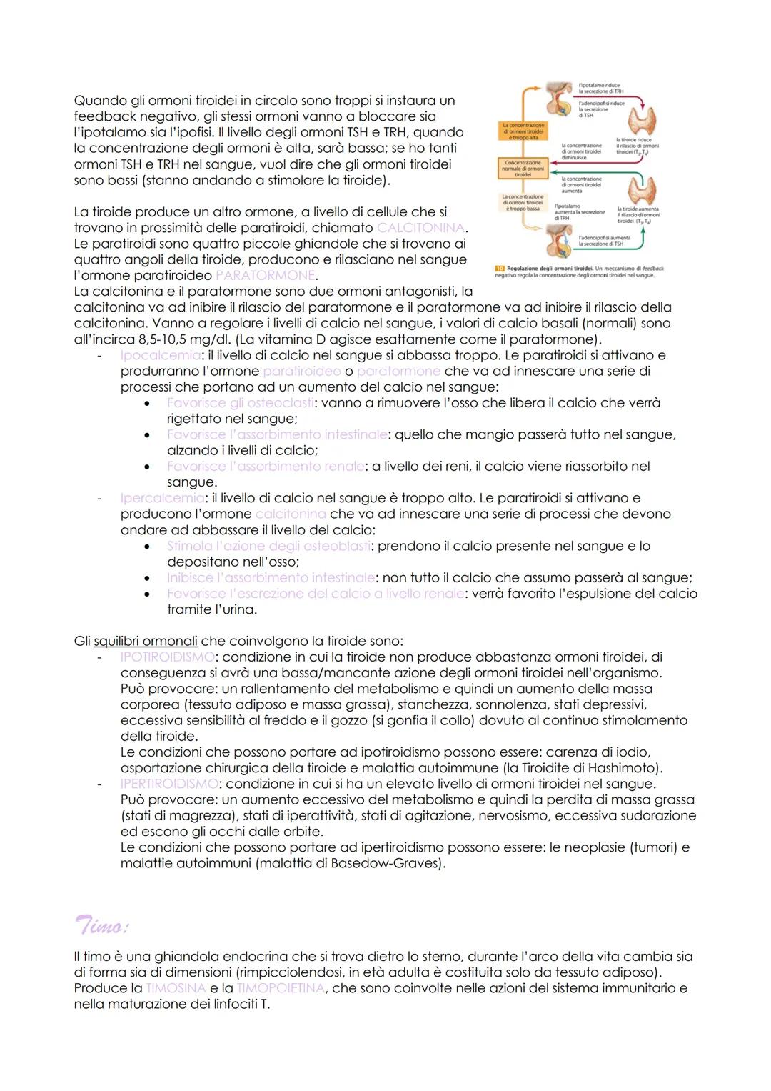 # Sistema Endocrino

Il sistema endocrino è costituito da una serie di organi che vengono chiamati GHIANDOLE che
collaborano con il sistema 