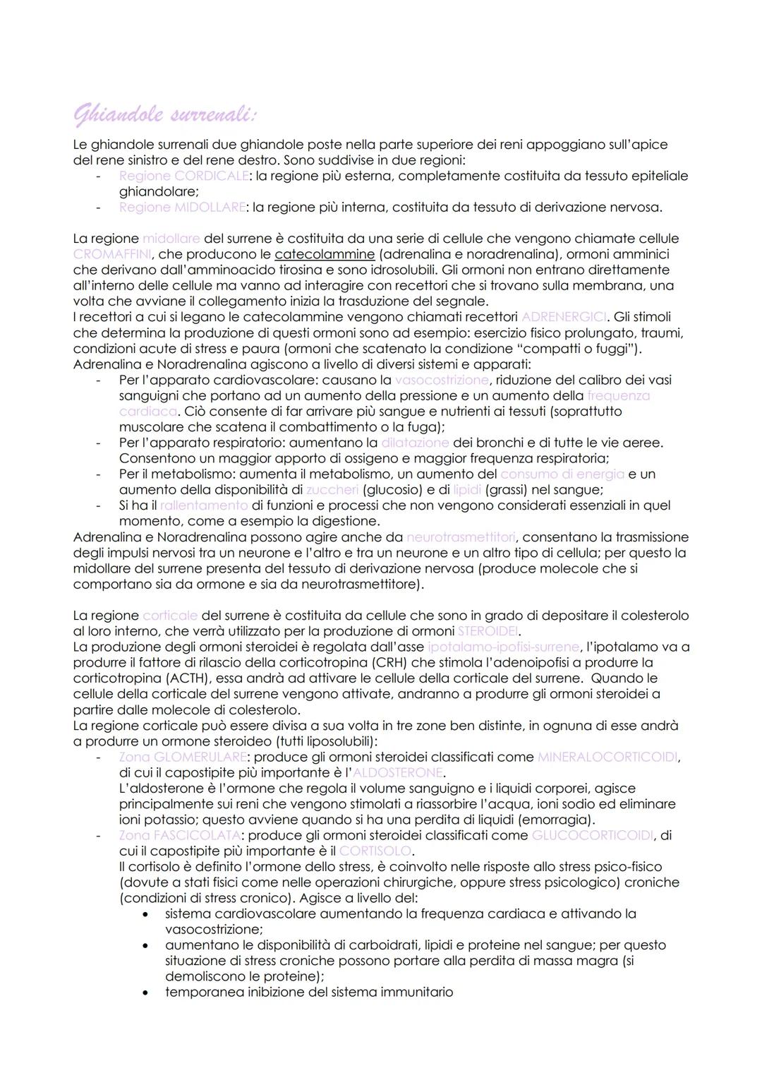 # Sistema Endocrino

Il sistema endocrino è costituito da una serie di organi che vengono chiamati GHIANDOLE che
collaborano con il sistema 