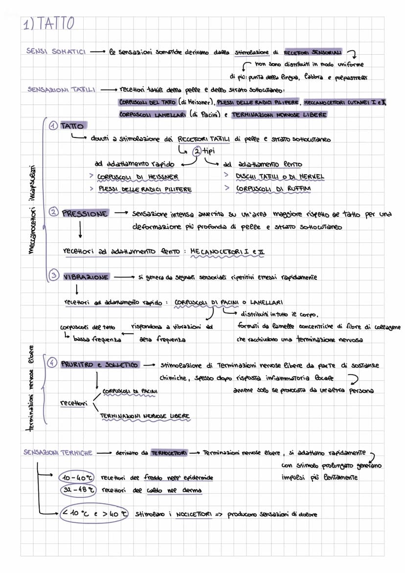 GLI ORGANI DI SENSO
↓
il sistema nervoso riceve molte informazioni dovute ad un insieme di SENSAZIONI
↓
SENSAZIONI
SENSIBILITA GENERALE
comp