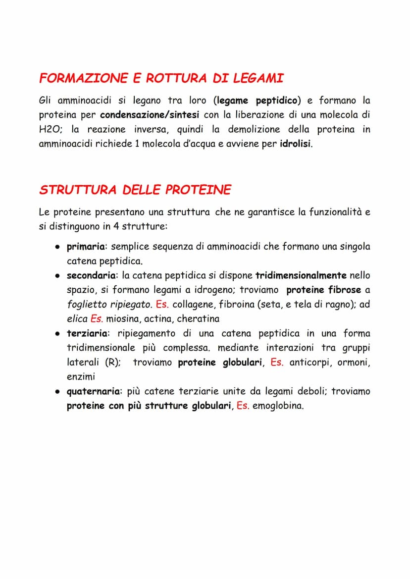 LE PROTEINE
Le proteine sono macromolecole (polimeri) formate da più molecole
semplici (monomeri) dette amminoacidi costituiti da atomi di c
