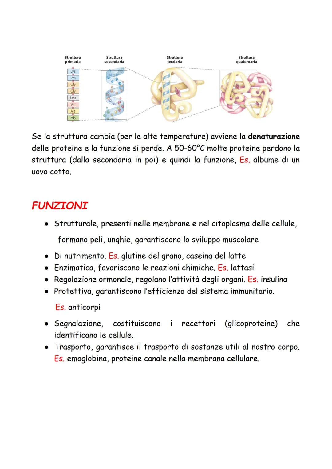 LE PROTEINE
Le proteine sono macromolecole (polimeri) formate da più molecole
semplici (monomeri) dette amminoacidi costituiti da atomi di c