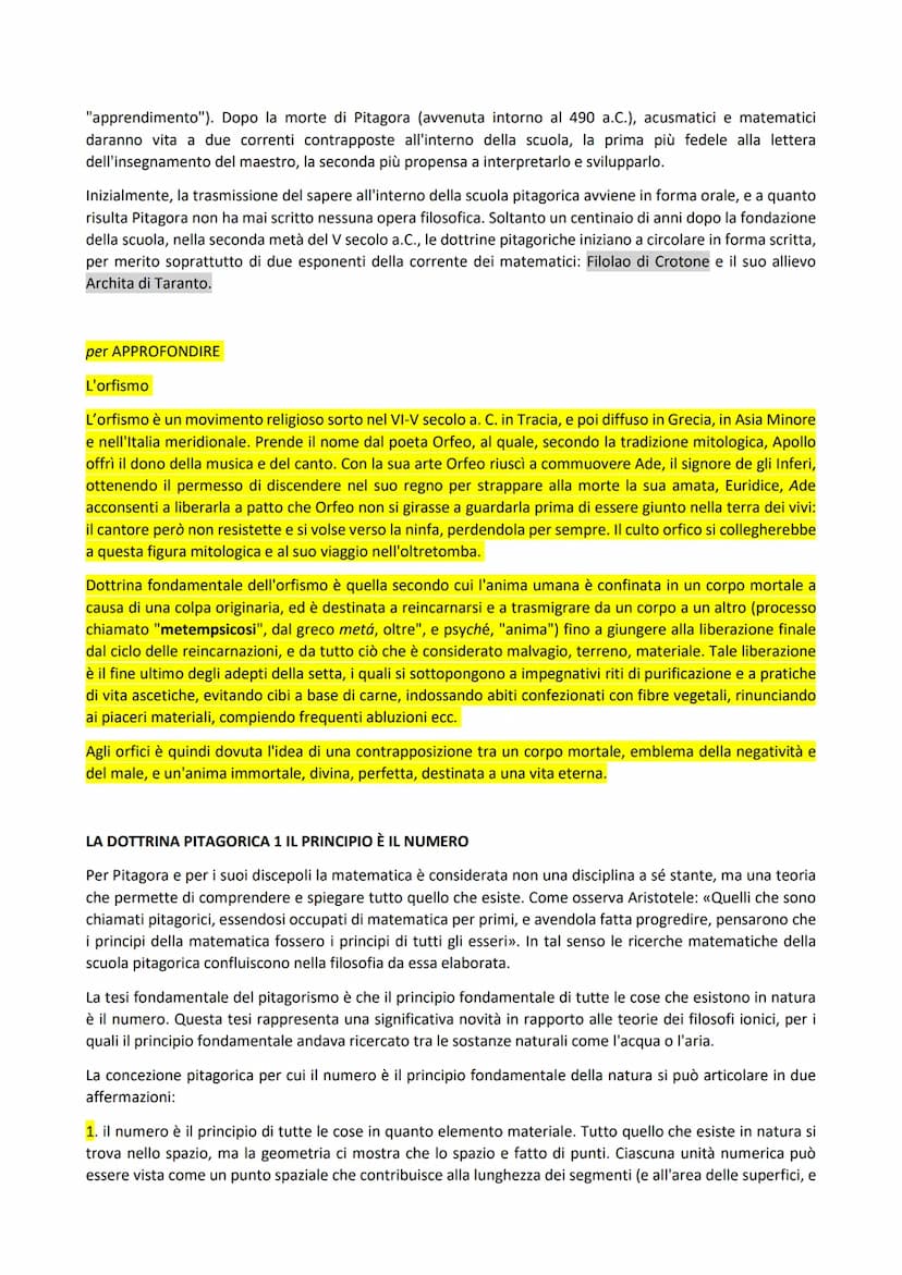 
<h2 id="lafondazioneeicaratteridellascuola">La Fondazione e i Caratteri della Scuola</h2>
<p><strong>Una Scoperta Pagata a Caro Prezzo</str