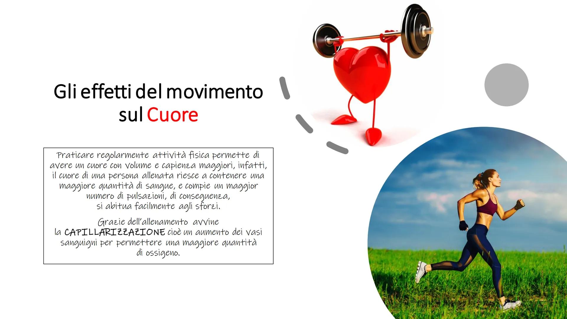 IL CUORE # Cos'è il cuore?

■ Il cuore è un organo muscolare cavo, striato ma involontario.

Π

Si trova nella cavità toracica davanti ai po