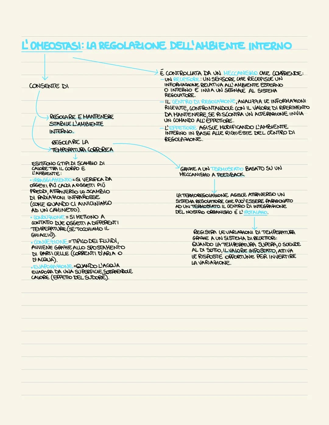 I TESSUTI DEL CORPO UMANO
IL CORPO UMANO DERIVA DALLO
SVILUPPO DI UNA SOLA CELLULA
DIPLOIDE, LO ZIGOTE, CHE SI
DIVIDE PIÚ VOLTE GENERANDO
CE
