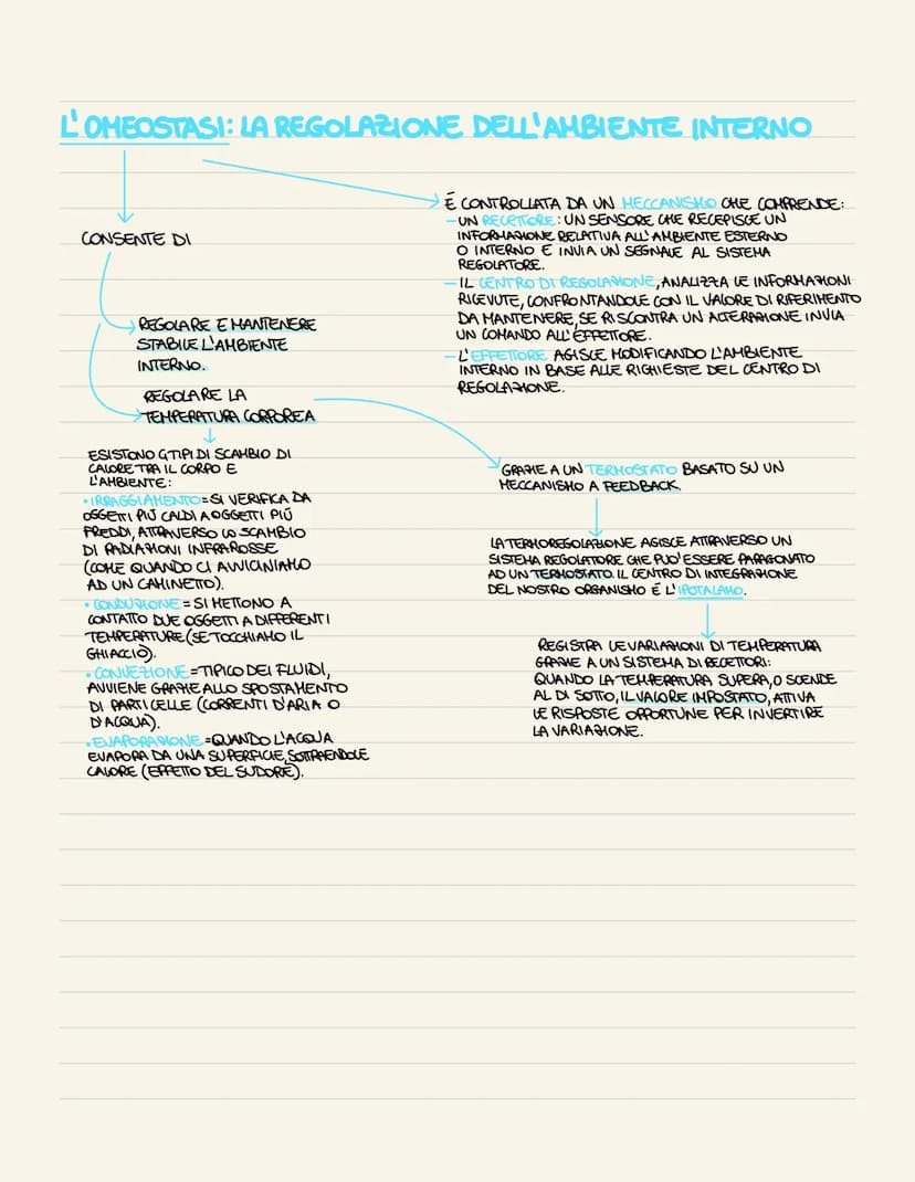 I TESSUTI DEL CORPO UMANO
IL CORPO UMANO DERIVA DALLO
SVILUPPO DI UNA SOLA CELLULA
DIPLOIDE, LO ZIGOTE, CHE SI
DIVIDE PIÚ VOLTE GENERANDO
CE