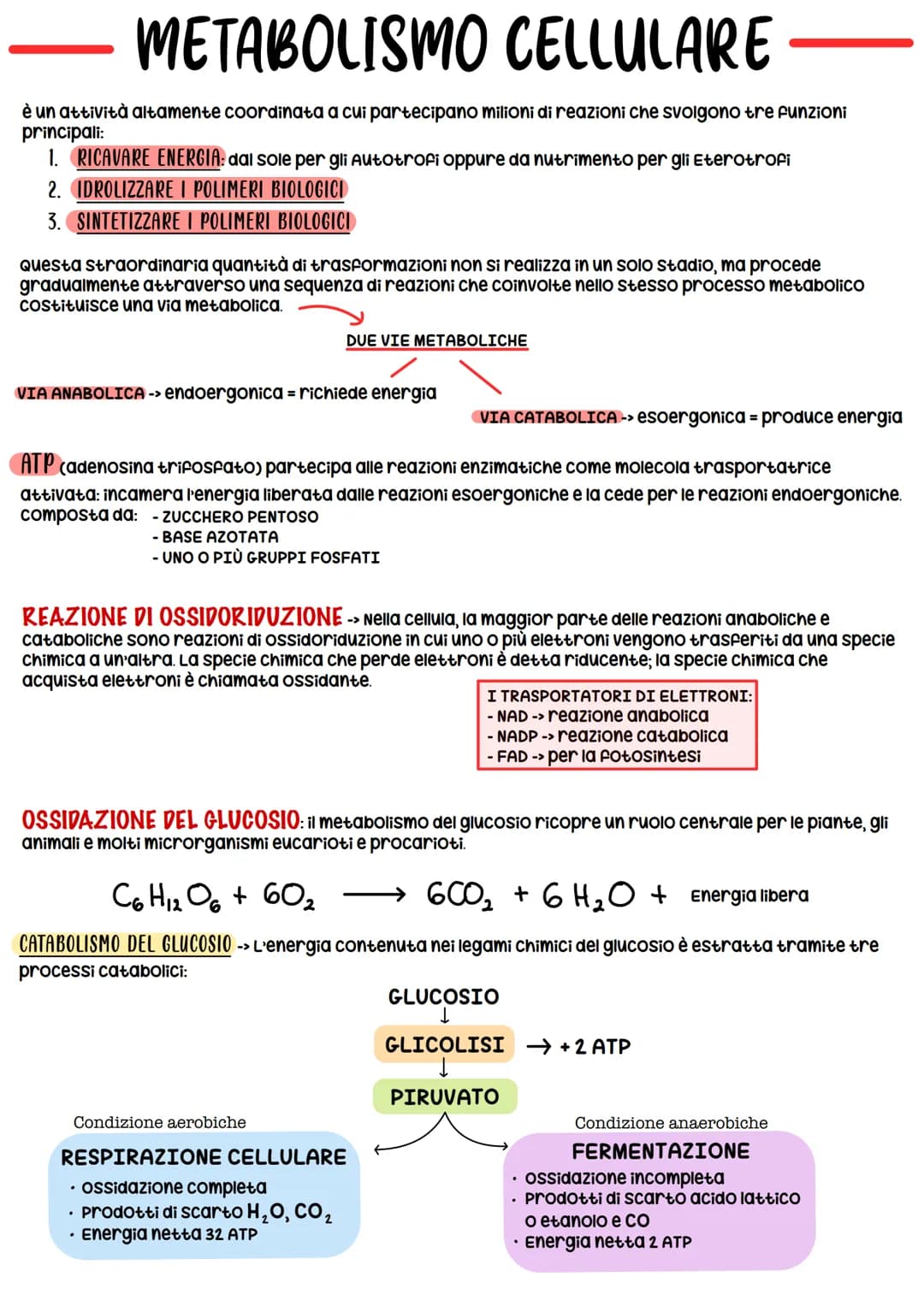 METABOLISMO CELLULARE
è un attività altamente coordinata a cui partecipano milioni di reazioni che svolgono tre funzioni
principali:
1. RICA