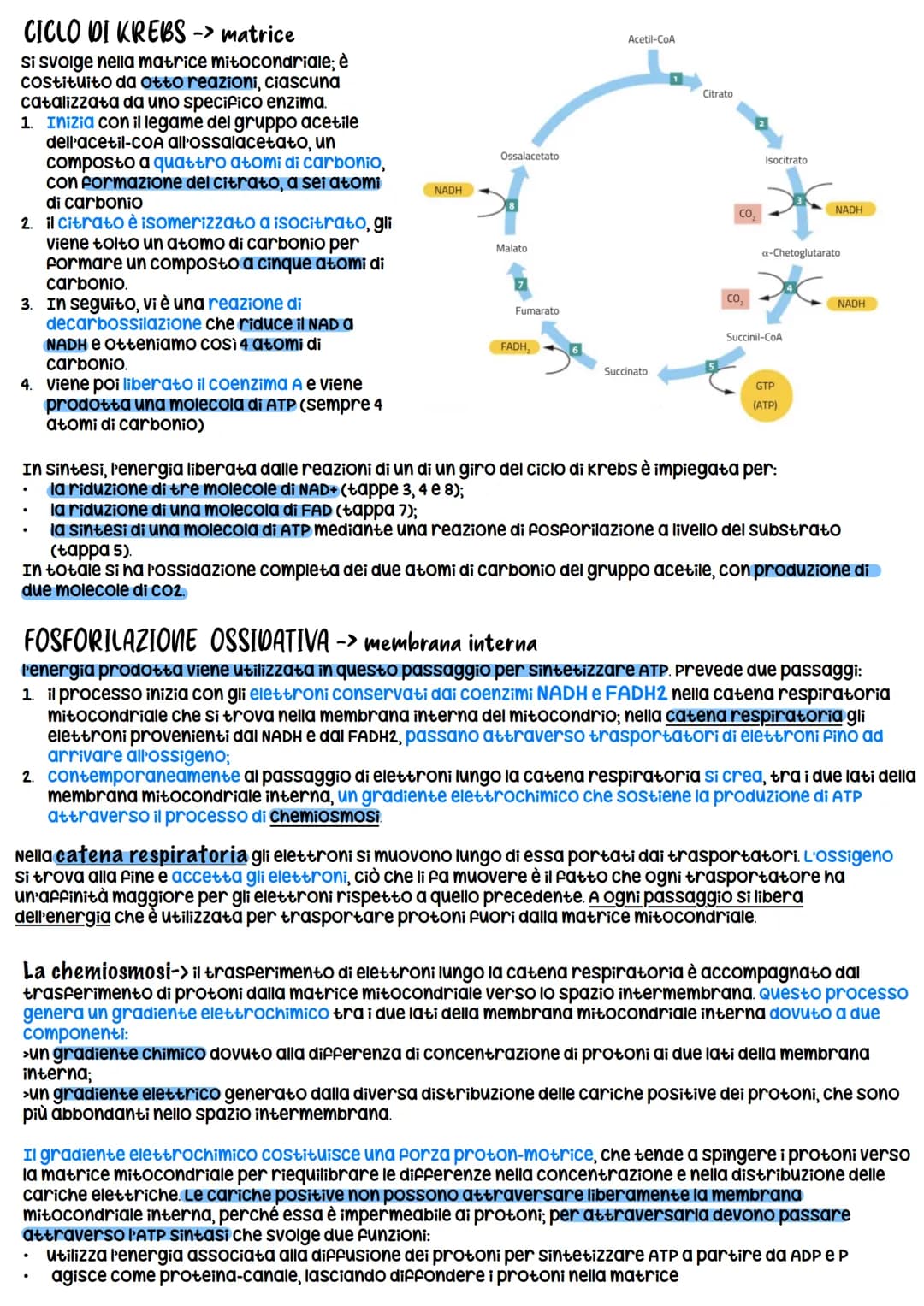 METABOLISMO CELLULARE
è un attività altamente coordinata a cui partecipano milioni di reazioni che svolgono tre funzioni
principali:
1. RICA