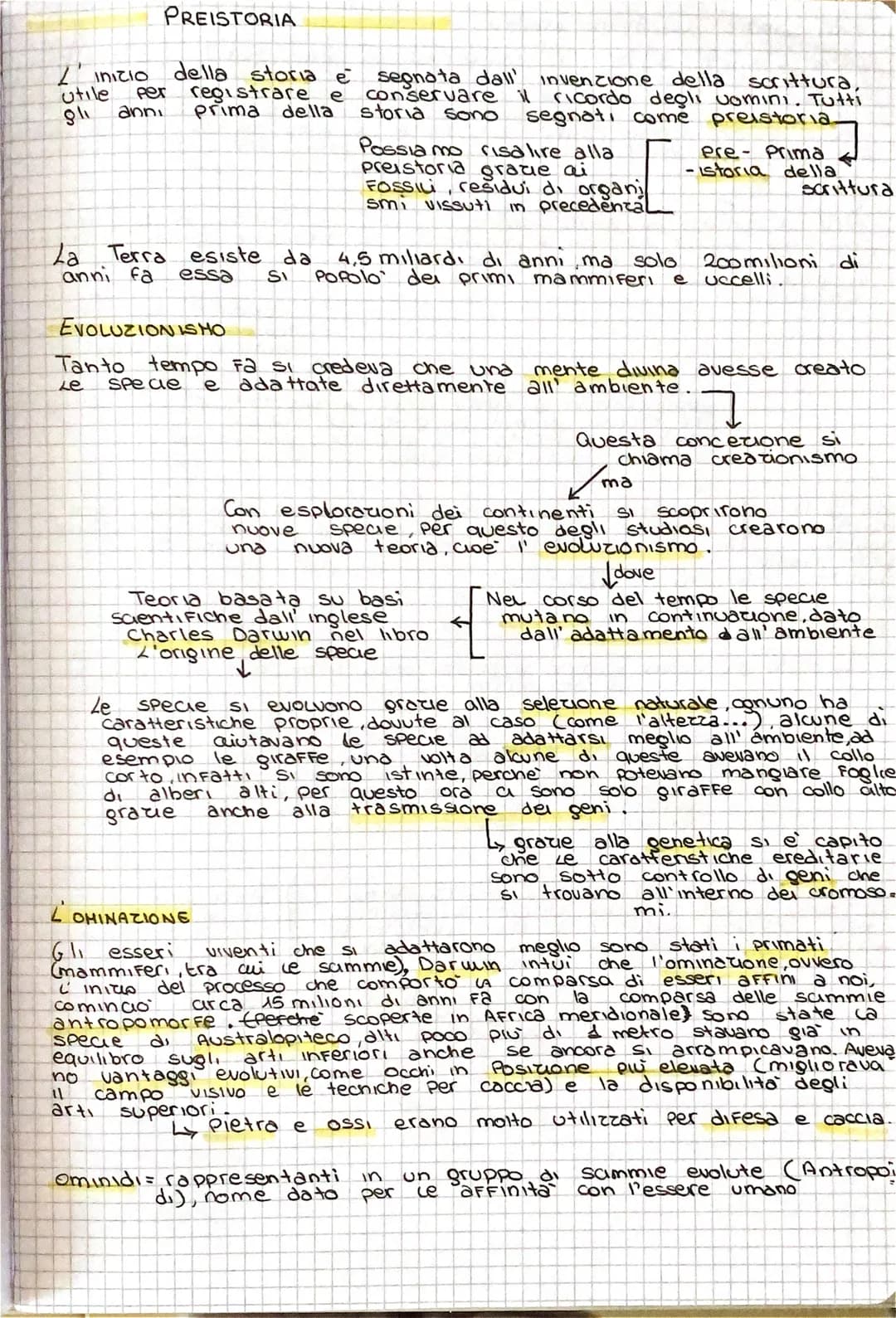 PREISTORIA
Zinizio della storia e segnata dall' invenzione della scrittura,
utile Per registrare e conservare il ricordo degli uomini. Tutti