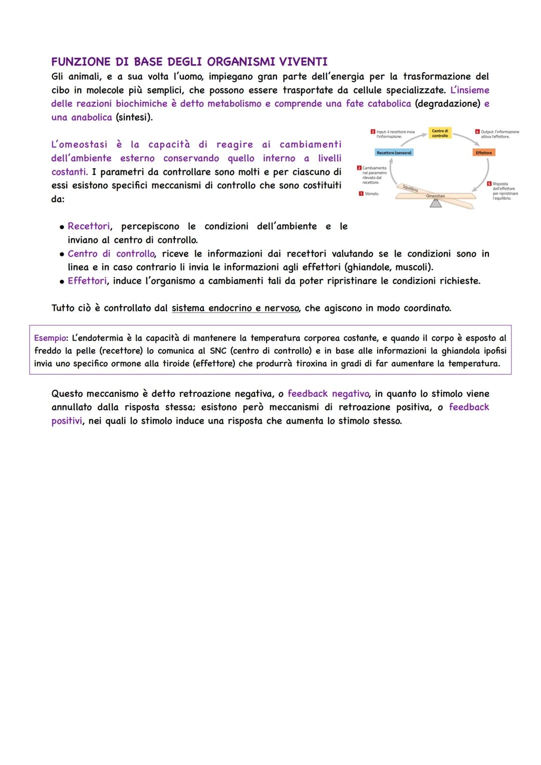 Il Corpo Umano
COSA STUDIA L'ANATOMIA
Gli organismi pluricellulari sono caratterizzati da
un'organizzazione ed alla base si trova la cellula