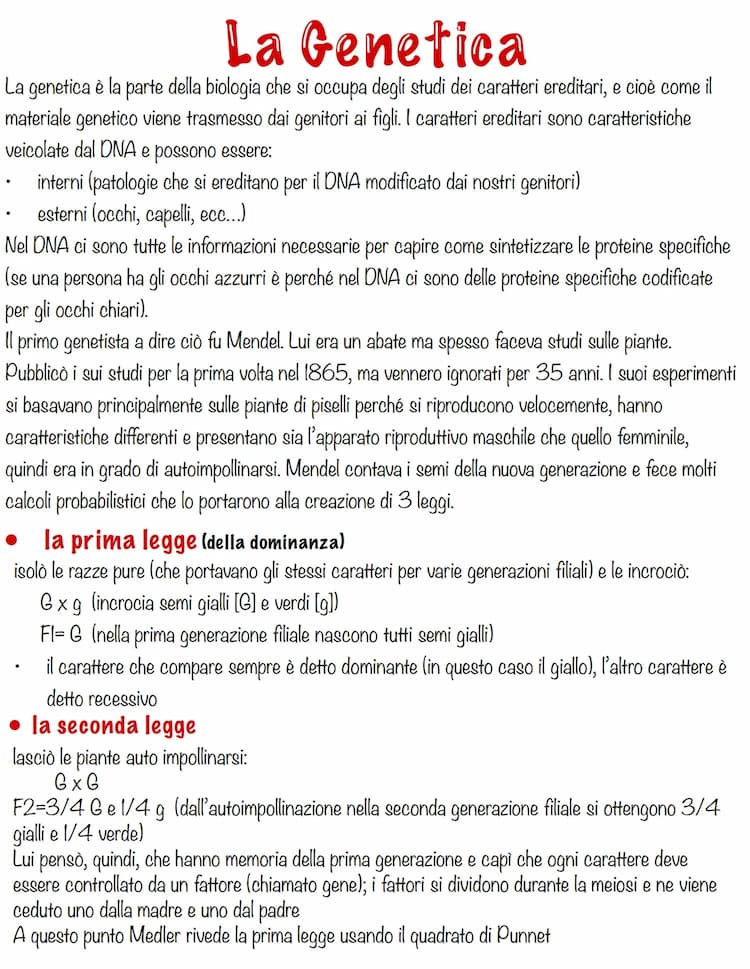 Know La Genetica  thumbnail