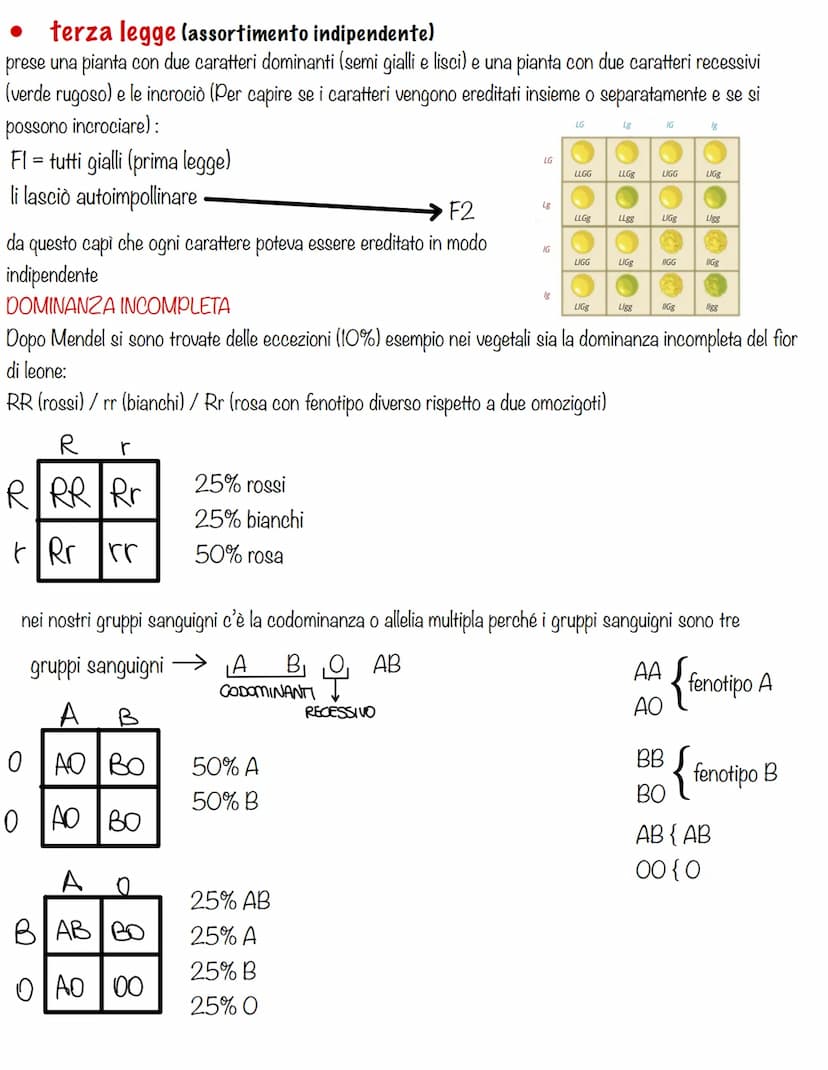 La Genetica
La genetica è la parte della biologia che si occupa degli studi dei caratteri ereditari, e cioè come il
materiale genetico viene