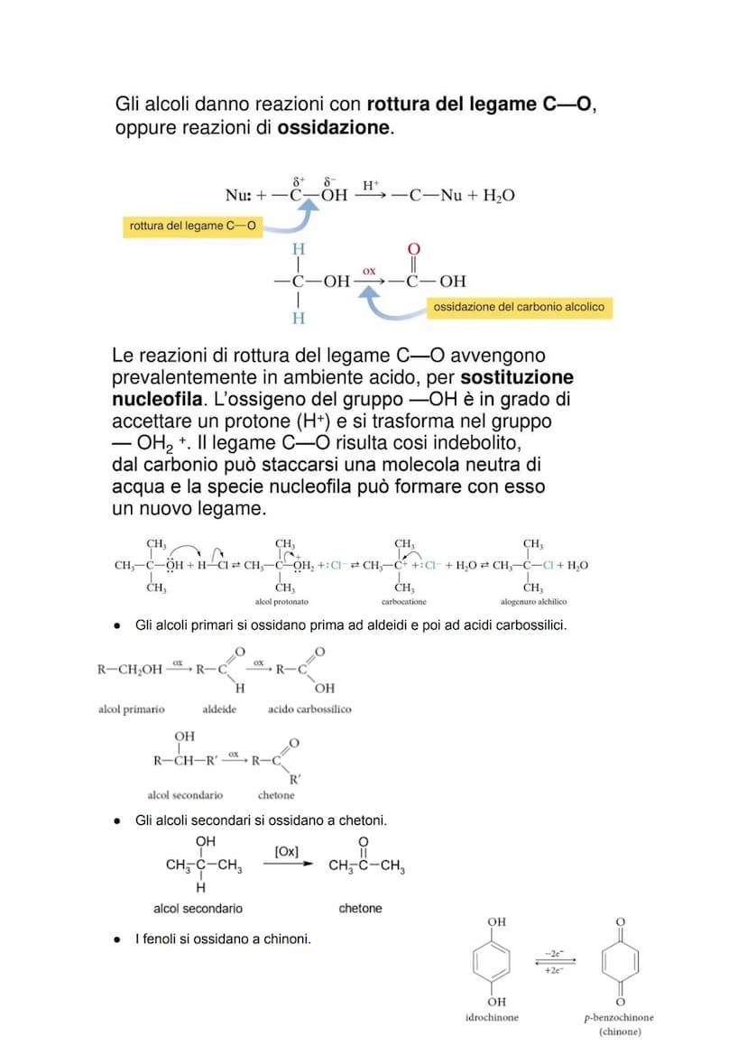 CHIMICA ORGANICA
Anche definita "chimica del carbonio" in quanto studia tutti i composti contenenti questo
elemento, insieme a idrogeno, spe