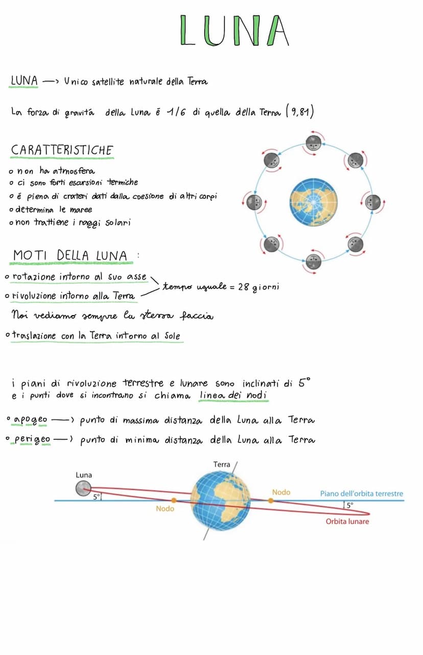 RIVOLUZIONE
movimento dei pianeti attorno al Sole <-> ANNO
ROTAZIONE movimento dei piane Hi attorno ad un'asse passante per il pianeta stess