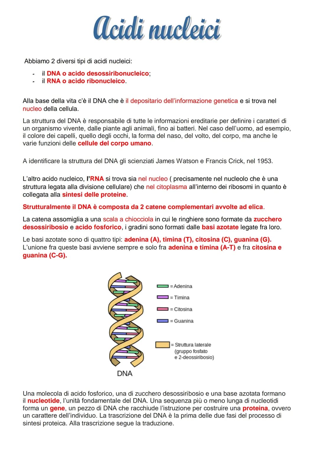 Acidi nucleici: DNA e RNA 