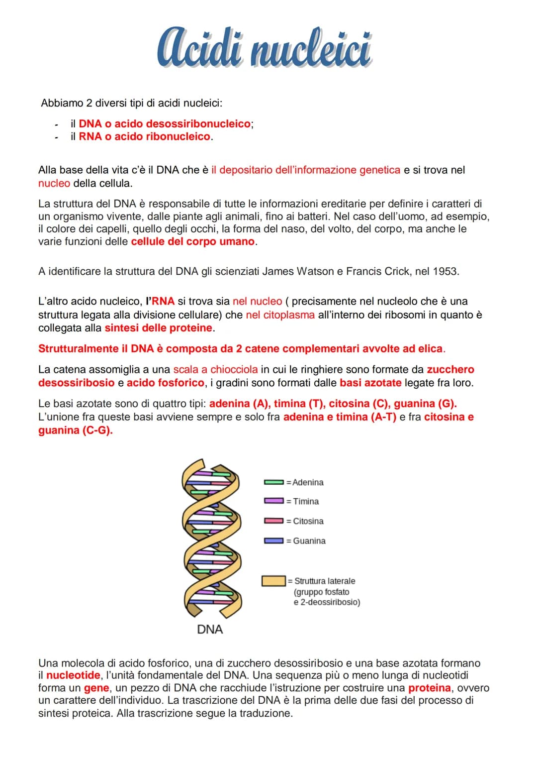 Acidi nucleici
Abbiamo 2 diversi tipi di acidi nucleici:
il DNA o acido desossiribonucleico;
il RNA o acido ribonucleico.
Alla base della vi