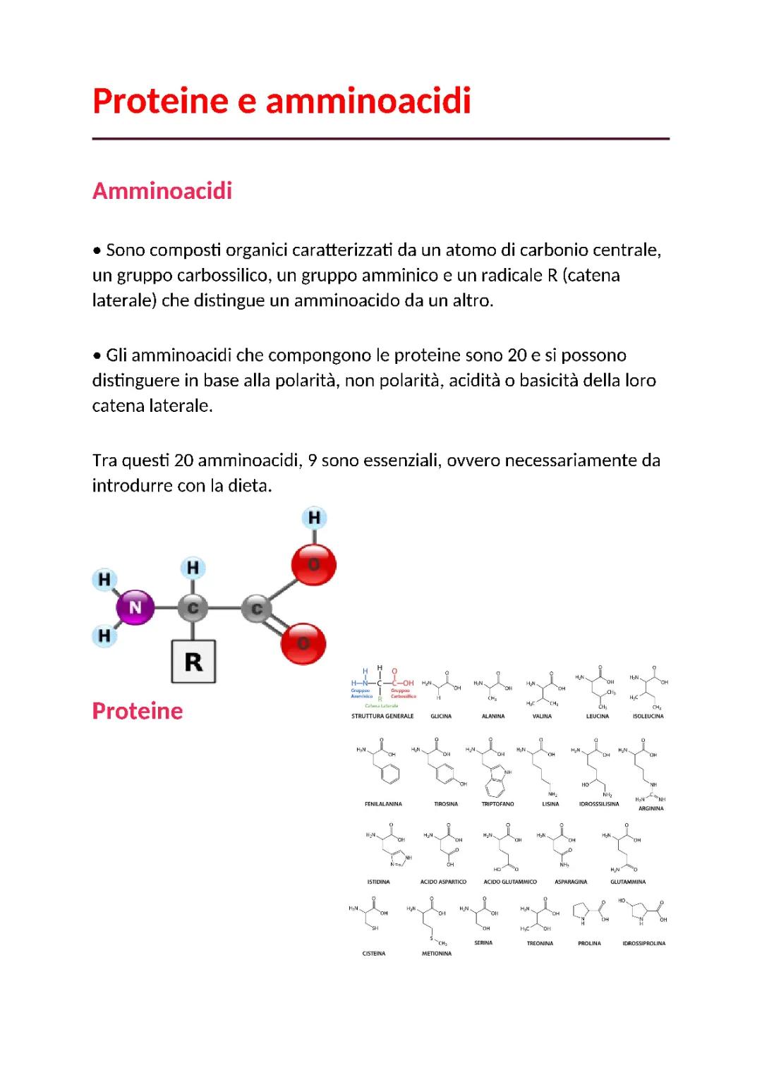 Scopri la Struttura delle Proteine: Primaria, Secondaria, Terziaria e Quaternaria