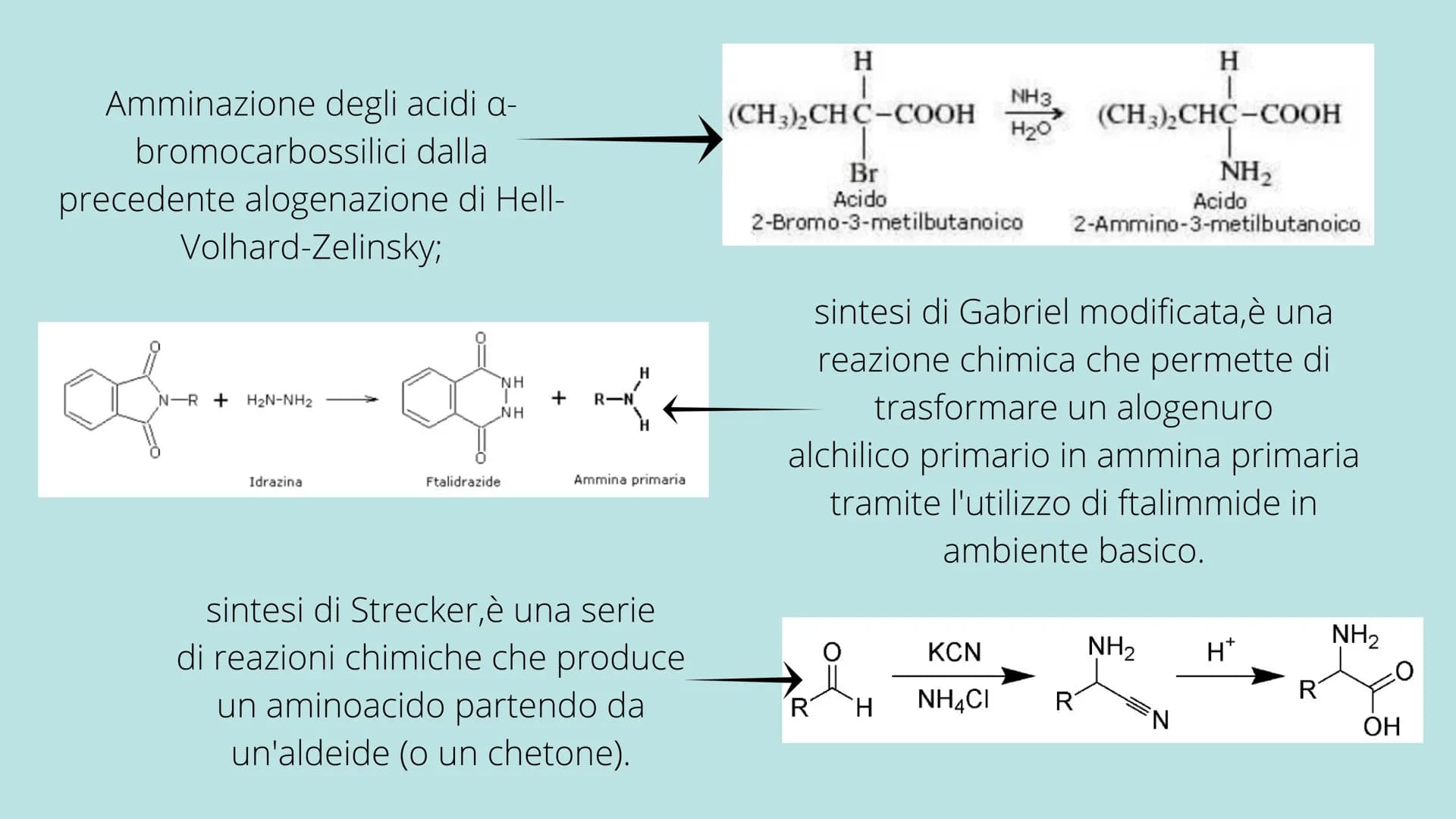 PRESENTAZIONE DI MESSINE O REBECCA
Amminoacidi e Proteine
T Indice:
• Amminoacidi
• Struttura
• Funzione
• Classificazione
Sintesi
• Nomencl