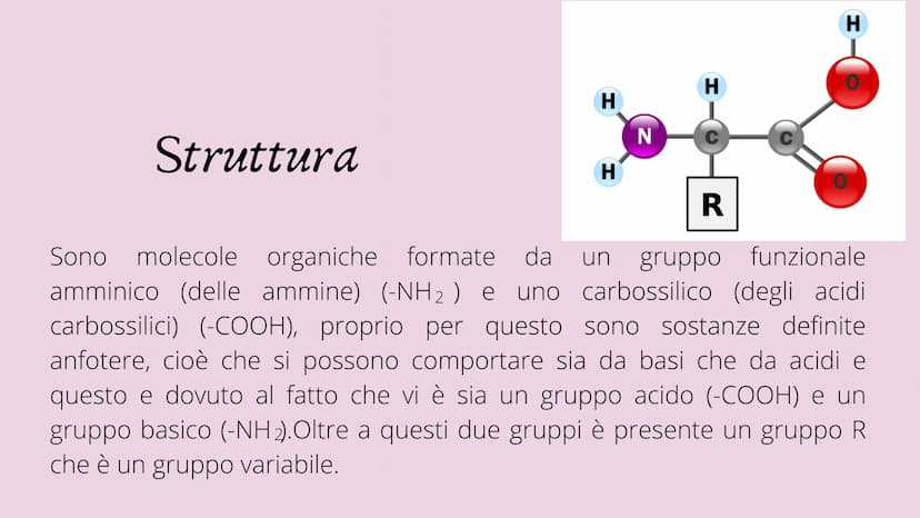 PRESENTAZIONE DI MESSINE O REBECCA
Amminoacidi e Proteine
T Indice:
• Amminoacidi
• Struttura
• Funzione
• Classificazione
Sintesi
• Nomencl