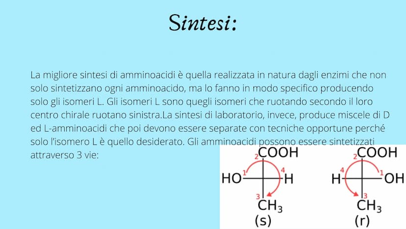PRESENTAZIONE DI MESSINE O REBECCA
Amminoacidi e Proteine
T Indice:
• Amminoacidi
• Struttura
• Funzione
• Classificazione
Sintesi
• Nomencl