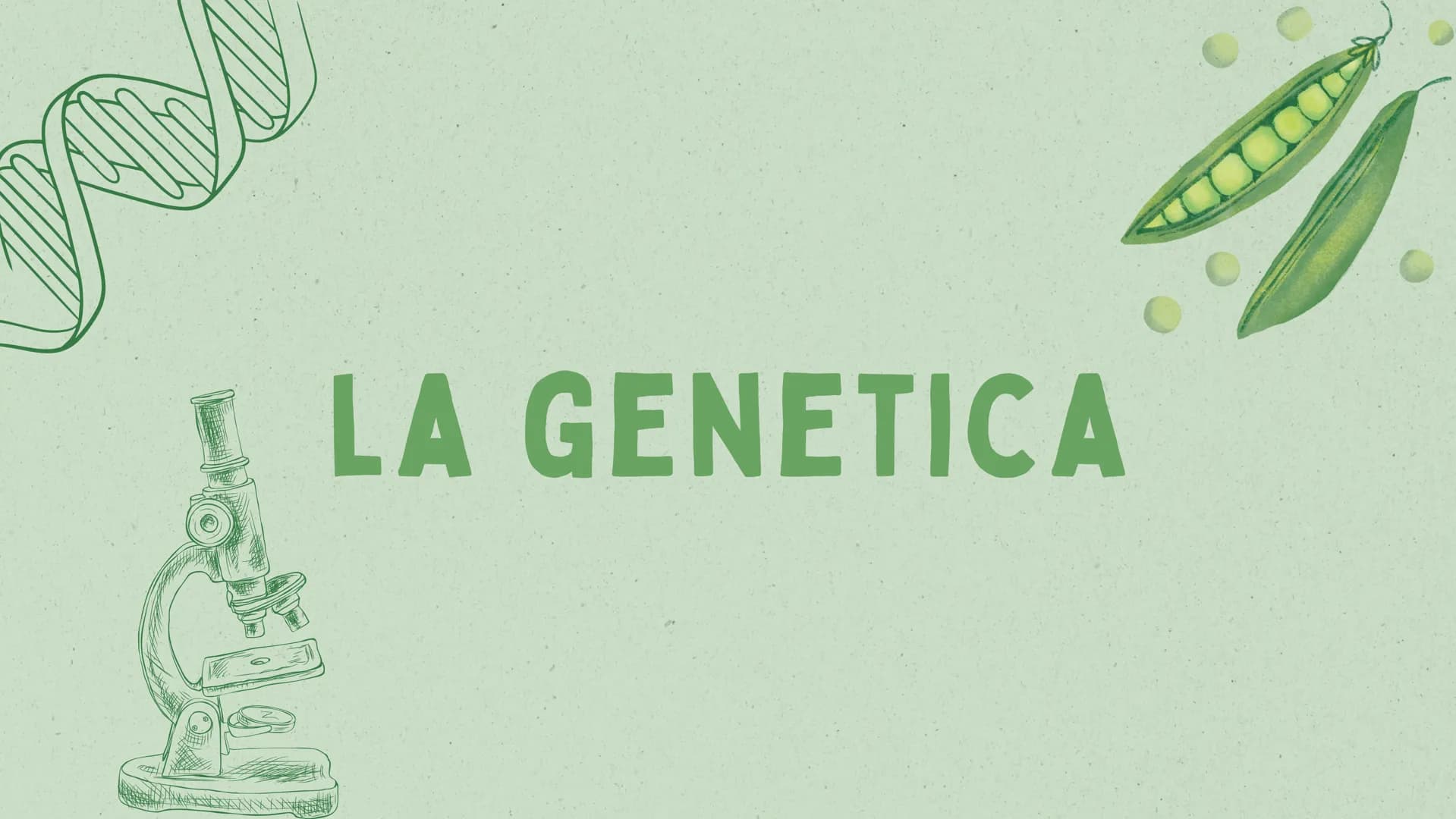 LA GENETICA INDICE
01
02
03
04
05
INTRODUZIONE
MENDEL & LE 3 LEGGI
IL DNA
LE MALATTIE GENETICHE
CURIOSITÀ 01
INTRODUZIONE
ALLA GENETICA COS'