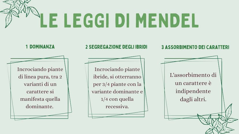 LA GENETICA INDICE
01
02
03
04
05
INTRODUZIONE
MENDEL & LE 3 LEGGI
IL DNA
LE MALATTIE GENETICHE
CURIOSITÀ 01
INTRODUZIONE
ALLA GENETICA COS'