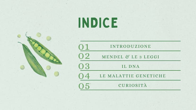 LA GENETICA INDICE
01
02
03
04
05
INTRODUZIONE
MENDEL & LE 3 LEGGI
IL DNA
LE MALATTIE GENETICHE
CURIOSITÀ 01
INTRODUZIONE
ALLA GENETICA COS'