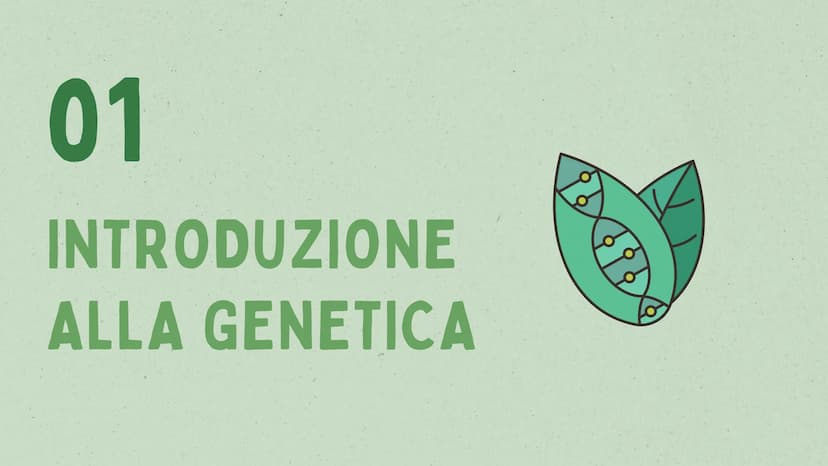 LA GENETICA INDICE
01
02
03
04
05
INTRODUZIONE
MENDEL & LE 3 LEGGI
IL DNA
LE MALATTIE GENETICHE
CURIOSITÀ 01
INTRODUZIONE
ALLA GENETICA COS'