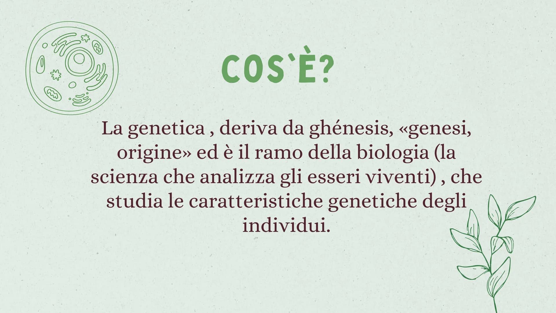 LA GENETICA INDICE
01
02
03
04
05
INTRODUZIONE
MENDEL & LE 3 LEGGI
IL DNA
LE MALATTIE GENETICHE
CURIOSITÀ 01
INTRODUZIONE
ALLA GENETICA COS'