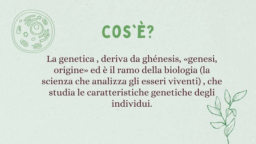 LA GENETICA INDICE
01
02
03
04
05
INTRODUZIONE
MENDEL & LE 3 LEGGI
IL DNA
LE MALATTIE GENETICHE
CURIOSITÀ 01
INTRODUZIONE
ALLA GENETICA COS'