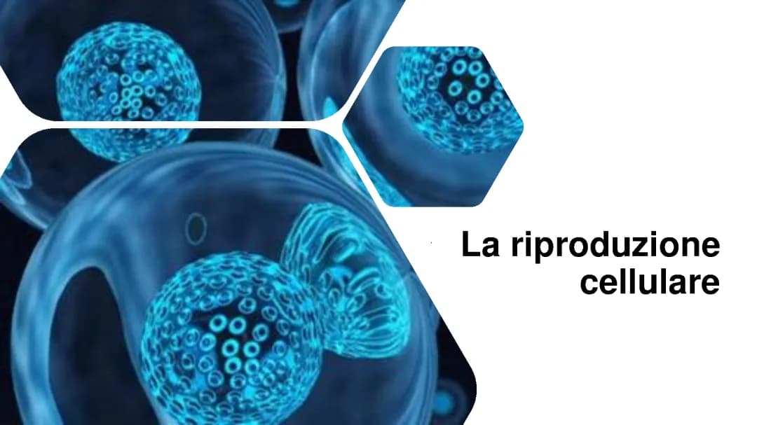 riproduzione cellulare 