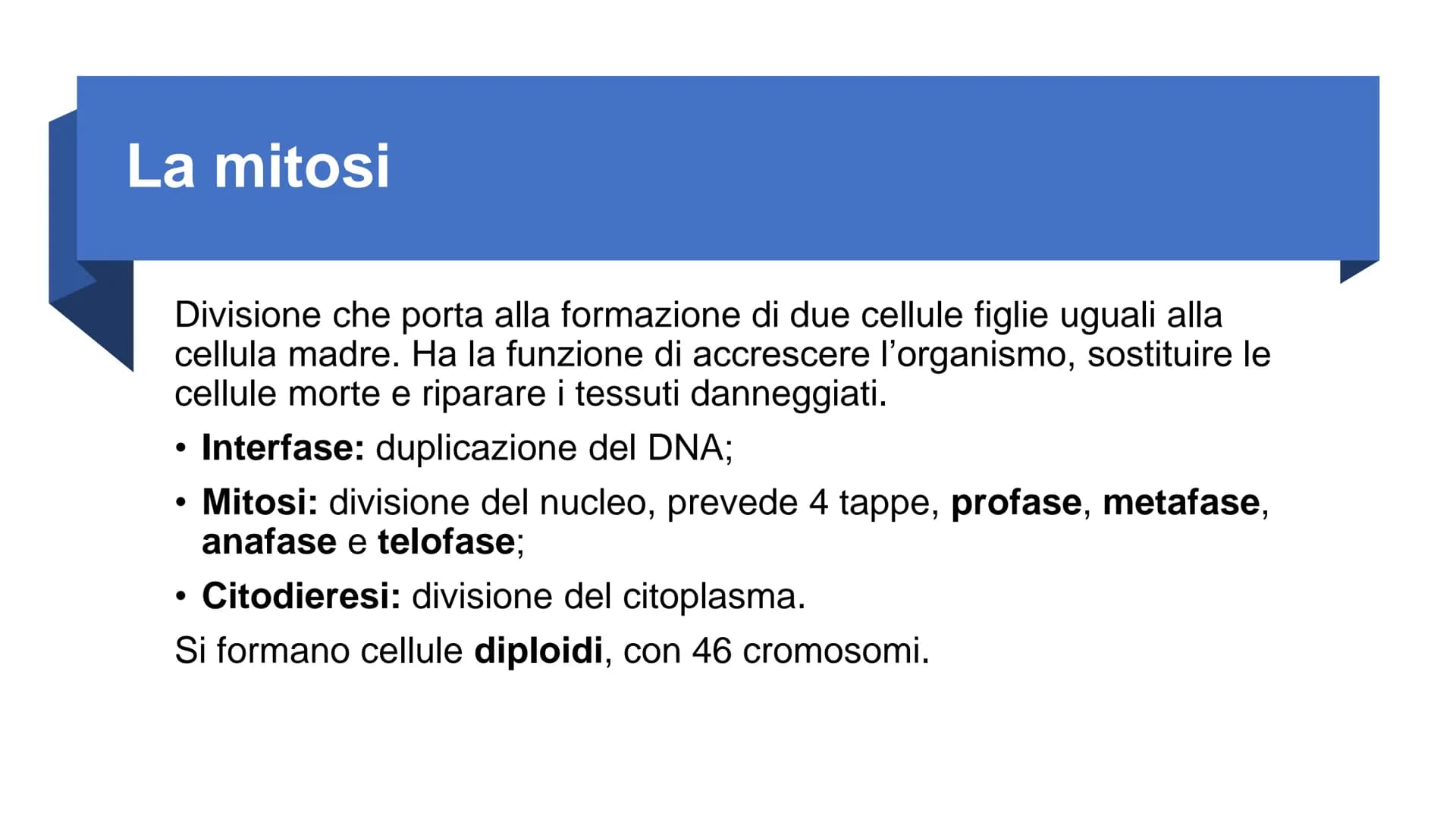 22
00
La riproduzione
cellulare Riproduzione asessuata e
riproduzione sessuata
Divisione cellulare:
Ogni cellula è in grado di dividersi dan