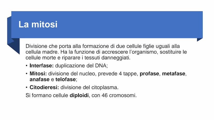 22
00
La riproduzione
cellulare Riproduzione asessuata e
riproduzione sessuata
Divisione cellulare:
Ogni cellula è in grado di dividersi dan