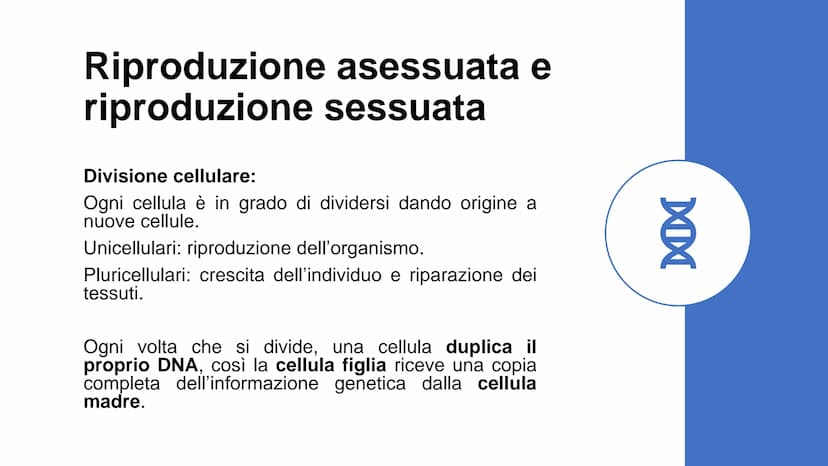22
00
La riproduzione
cellulare Riproduzione asessuata e
riproduzione sessuata
Divisione cellulare:
Ogni cellula è in grado di dividersi dan