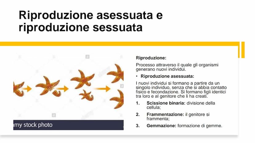 22
00
La riproduzione
cellulare Riproduzione asessuata e
riproduzione sessuata
Divisione cellulare:
Ogni cellula è in grado di dividersi dan