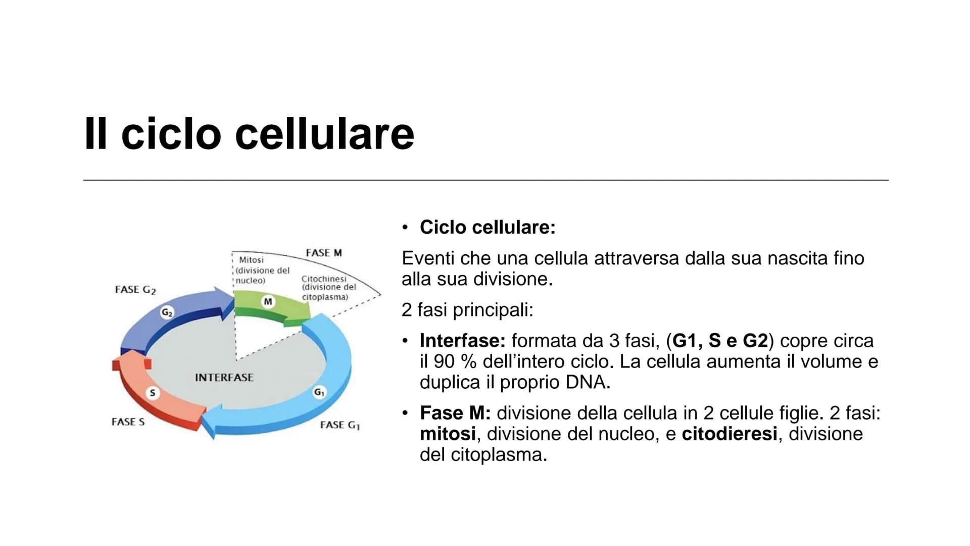 22
00
La riproduzione
cellulare Riproduzione asessuata e
riproduzione sessuata
Divisione cellulare:
Ogni cellula è in grado di dividersi dan