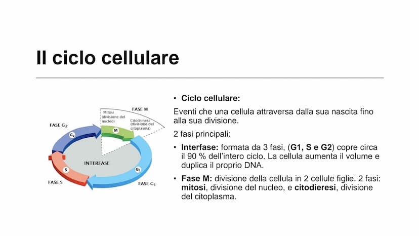 22
00
La riproduzione
cellulare Riproduzione asessuata e
riproduzione sessuata
Divisione cellulare:
Ogni cellula è in grado di dividersi dan