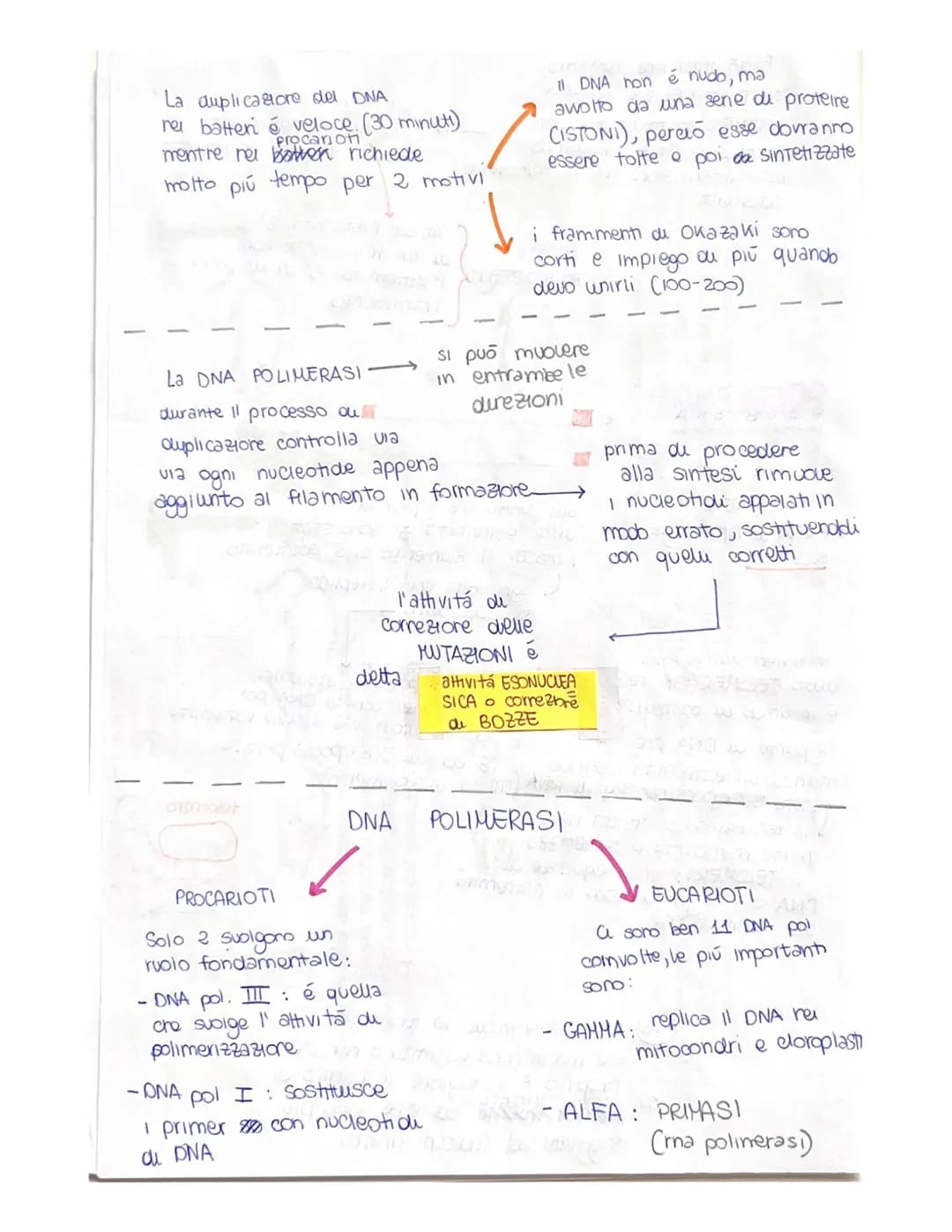 cu toro capsula
PUBLICAZIONE DEL DNA
ha inizio in determinati punt, detti punti di ORIGINE do
DUPUCAZIONE (ORI), mexxi owero tratti cu DNA c