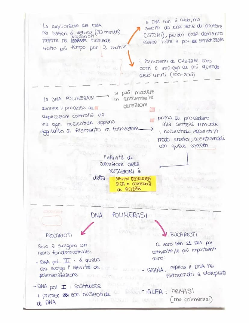 cu toro capsula
PUBLICAZIONE DEL DNA
ha inizio in determinati punt, detti punti di ORIGINE do
DUPUCAZIONE (ORI), mexxi owero tratti cu DNA c