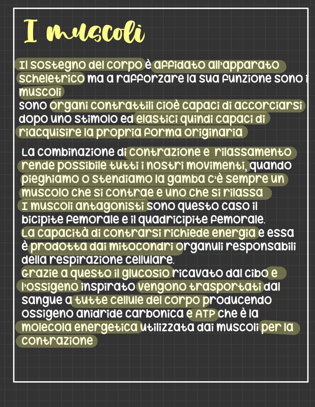 I muscoli
Il sostegno del corpo è affidato all'apparato
scheletrico ma a rafforzare la sua funzione sono
muscoli
sono organi contrattili cio