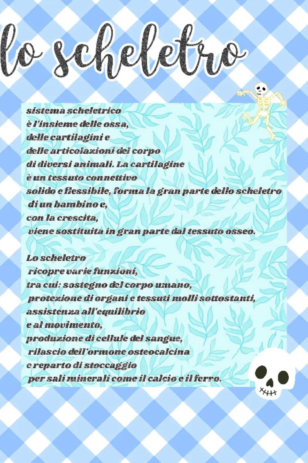 Sistema scheletrico