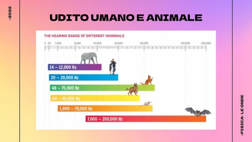 -2022
LE ONDE
Cosa sono - Tipologie - Il suono
@hellokithv
//
-FISICA: LE ONDE -2022
Cosa sono?
Le onde possono essere definite come
delle p