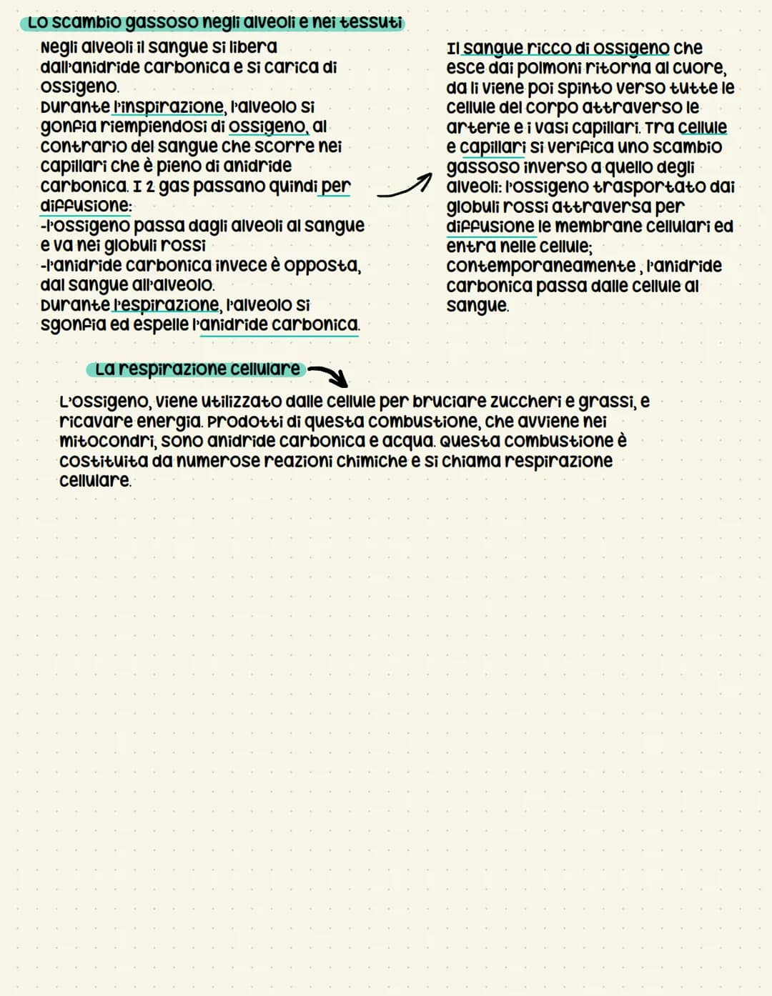 Capparato respiratorio
RIFORNISCE DI OSSIGENO TUTTI GLI ORGANI DEL
NOSTRO CORPO ED ELIMINA L'ANIDRIDE CARBONICA
Perché dobbiamo respirare?
-