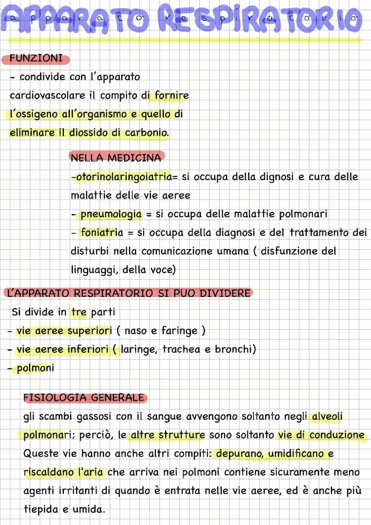Know apparato respiratorio  thumbnail