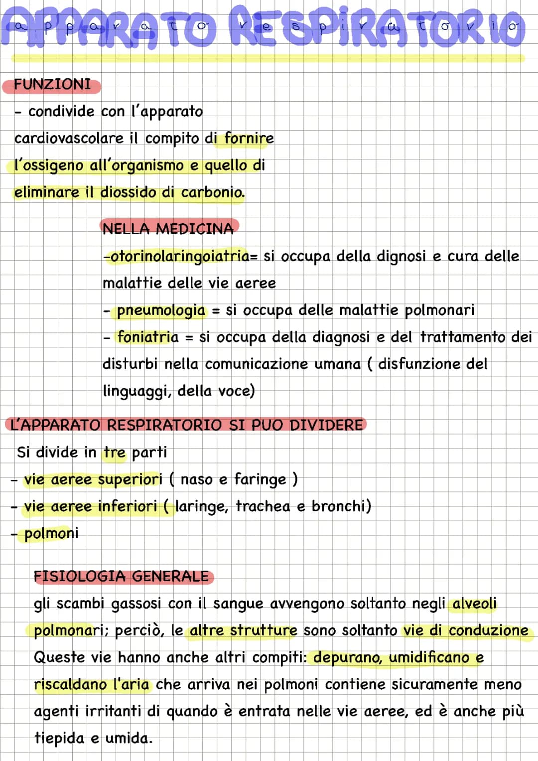 apparato respiratorio 