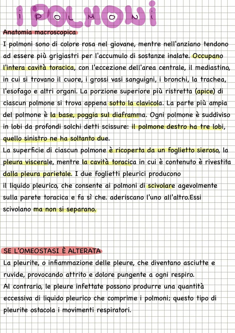 APPARATO RESPIRATORIO
FUNZIONI
condivide con l'apparato
cardiovascolare il compito di fornire
l'ossigeno all'organismo e quello di
eliminare
