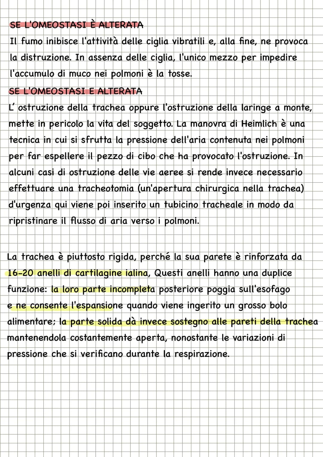 APPARATO RESPIRATORIO
FUNZIONI
condivide con l'apparato
cardiovascolare il compito di fornire
l'ossigeno all'organismo e quello di
eliminare