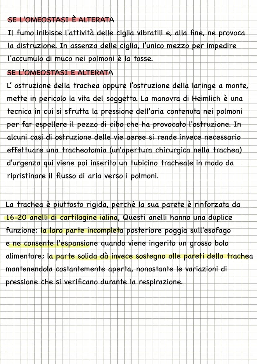 APPARATO RESPIRATORIO
FUNZIONI
condivide con l'apparato
cardiovascolare il compito di fornire
l'ossigeno all'organismo e quello di
eliminare